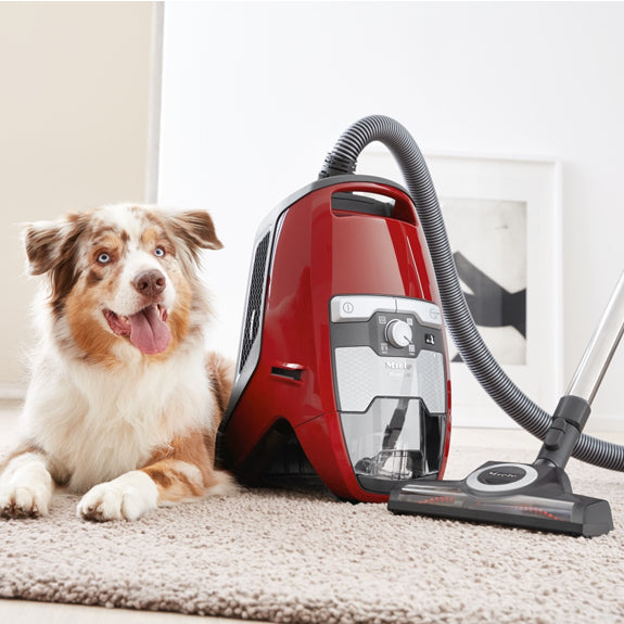 Miele Blizzard CX1 Cat & Dog Bagless Vacuum Cleaner