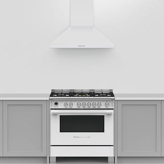 FISHERPAYKEL CANOPY RANGEHOOD 90CM