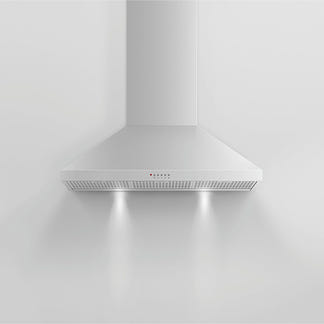 FISHERPAYKEL CANOPY WALL RANGEHOOD STAINLESS STEEL 90CM