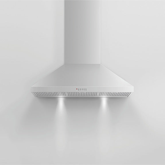FISHERPAYKEL CANOPY WALL RANGEHOOD STAINLESS STEEL 90CM