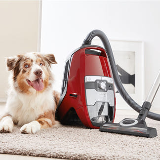 Miele Blizzard CX1 Cat & Dog Bagless Vacuum Cleaner